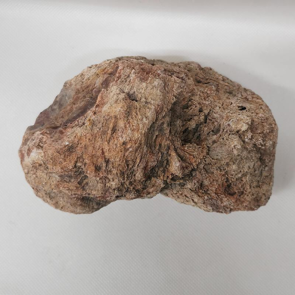 Versteinertes Holz Madagaskar
